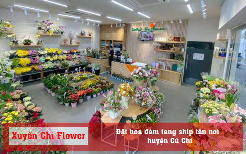 dat-hoa-dam-tang-ship-tan-noi-huyen-cu-chi